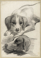 P+ 054
<br/>
Schets van twee hondekoppen
<br/>
<em>Visscher, Cornelis (1629-1658) - omgeving van</em>